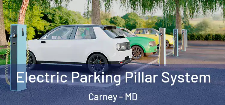 Electric Parking Pillar System Carney - MD