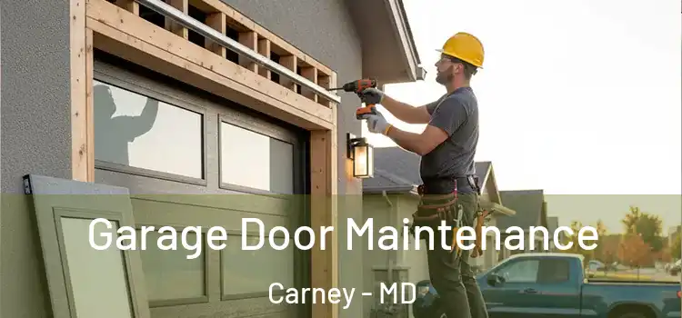 Garage Door Maintenance Carney - MD