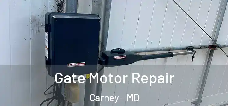 Gate Motor Repair Carney - MD