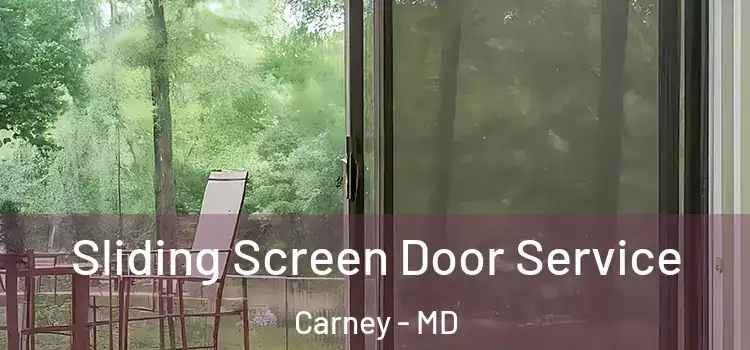 Sliding Screen Door Service Carney - MD
