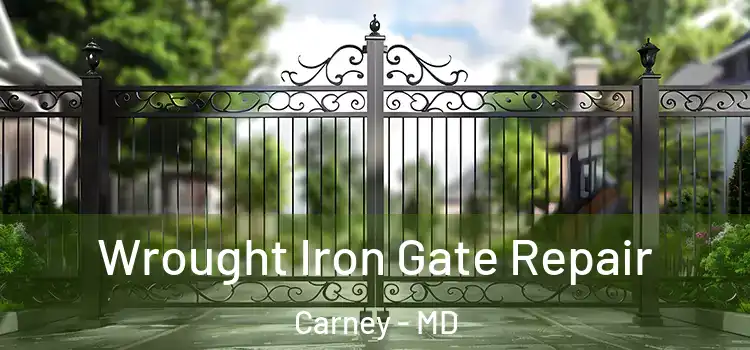 Wrought Iron Gate Repair Carney - MD